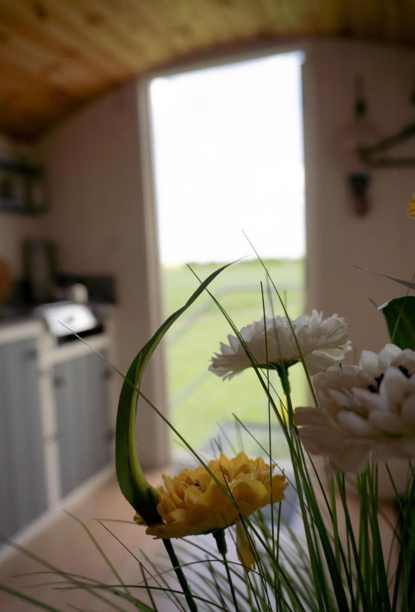 Maple Hut Four Acre Farm Hotel Aylsham Exterior foto